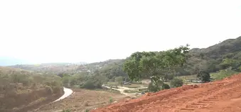 Natureza preservada e conforto urbano nas chácaras Jardins do Pontal